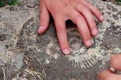 Dzień drugi naszej przygody Lata w szkole