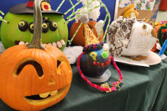 576923663_1253288343483239_3040377409284868222_n