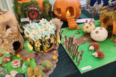 576961473_1253288696816537_3928066582190777319_n