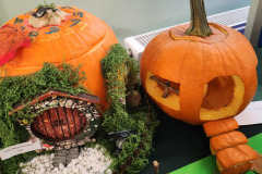 577145905_1253288643483209_1047972560077940909_n