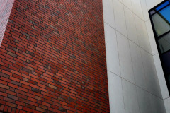 577915848_1254216913390382_9041390859570692735_n