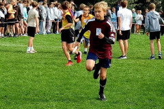 549021188_1210236137788460_263519764515770594_n