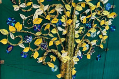 566228003_1236698638475543_1132557964733534296_n