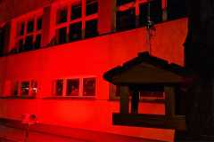 558297478_1223697396442334_1809076253396806599_n