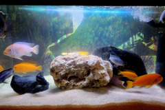 597195510_1281110410701032_8606747738705079370_n