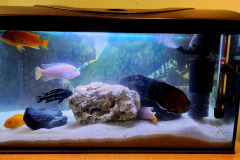 597345175_1281110660701007_2786238126677649476_n