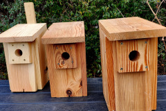 585315877_1264193655726041_310840191470946287_n