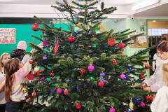 597548429_1279617130850360_133026657825327020_n