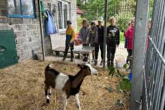 550179208_1213827567429317_8783456784595948557_n