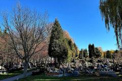 573055964_1248715227273884_5564336222602142843_n