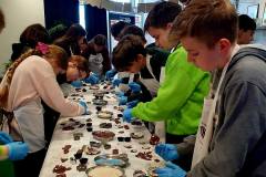 599617540_1282511827227557_271897413355214751_n