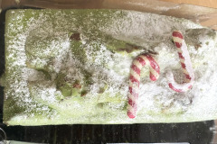 594279092_1277744151037658_1571672647237074739_n