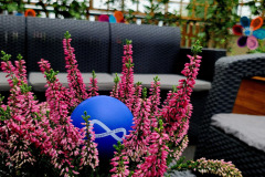 542762855_1201949401950467_1834935932464238941_n