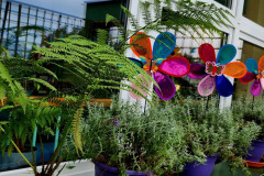 543121827_1201950248617049_6144883616686008396_n