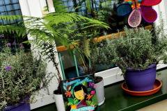 543385928_1201949261950481_1196683908487030136_n