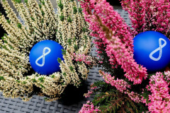 544735441_1201949485283792_1295582633869064980_n