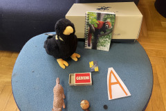 560578892_1234599888685418_2308471667126291247_n