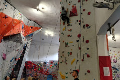 517153903_1153739783438096_7356131969103849601_n