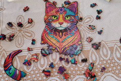 602406851_1287750260037047_4237569762939649712_n