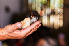 557474398_1219738246838249_5378869466390744221_n