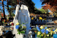 572379810_1249418253870248_6864862947725291684_n