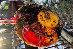 626453892_1322898233188916_7990463915216956890_n