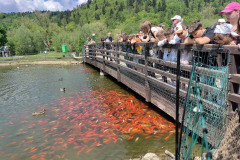 Zielona Szkoła klas 4B, 6A i 6B